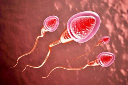 Sau Khi Quan Hệ Tình Trùng Chảy Ra Ngoài Có Thai Được Không Gia Lai