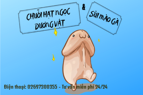 Sùi Mào Gà Dương Vật Và Những Thông Tin Cần Biết Pleiku Gia Lai Sùi Mào Gà Dương Vật Và Những Thông Tin Cần Biết Pleiku Gia Lai